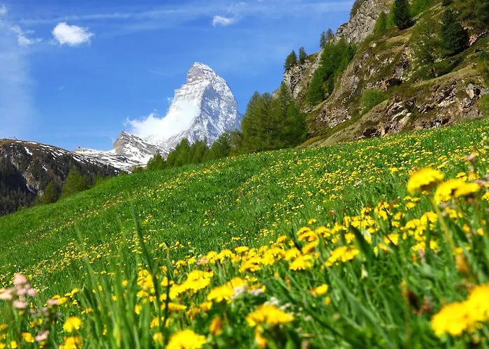 Apartman Mont-blanc-2 By Interhome Zermatt