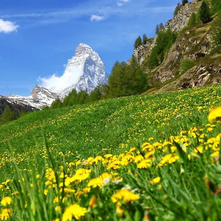 Apartman Mont-blanc By Interhome Zermatt